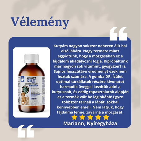 Gomba DR. ÍZÜLET OPTIMAL folyékony gombakivonat