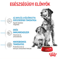 Royal Canin Medium Starter Mother & Babydog - Száraz táp közepes testű vemhes szuka és kölyök kutya részére 2 hónapos korig #3