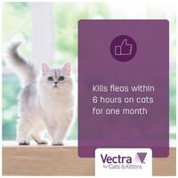 Vectra Felis bolhák elleni spot on macskáknak #5