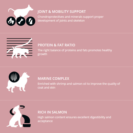 Profine Junior Large Salmon & Potatoes