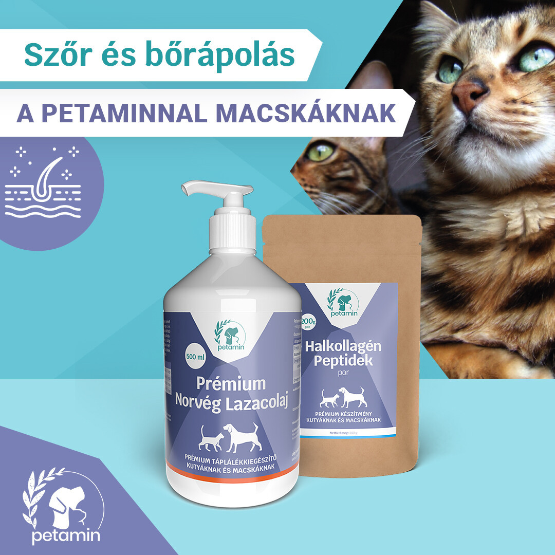 Petamin Halkollagen Peptides pulbere pentru câini și pisici - zoom