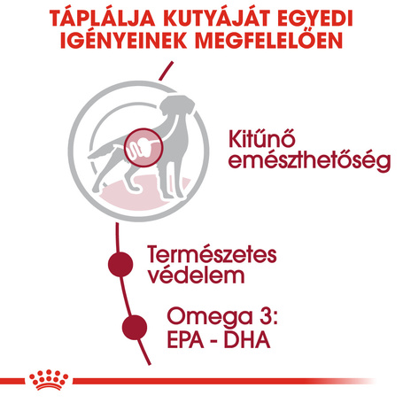 Royal Canin Medium Adult - Nedves táp közepes testű felnőtt kutya részére