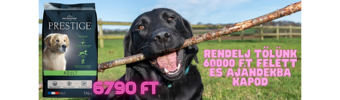 Rendelj 60000 Ft felett és ajándékba kapsz egy 3 kg-os Flatazor Prestige Adult kutyatápot