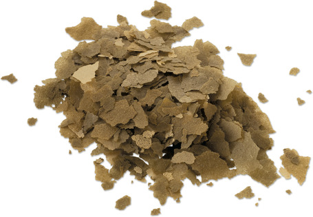 Tetra Phyll Flakes prémium lemezes díszhaltáp