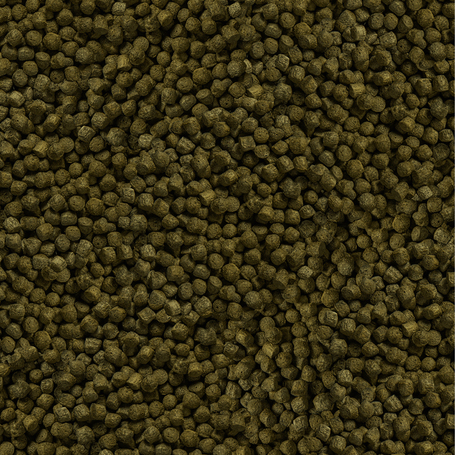 Sera Koi Color Medium haltáp