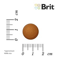 Brit Care Grain-Free Senior Salmon & Potato gabonaérzékeny idősödő kutyáknak #6