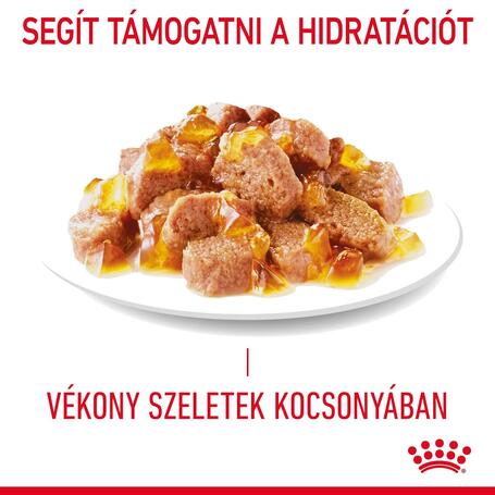 Royal Canin Appetite Control Care - Zselés nedves táp felnőtt macskák részére az étvágy szabályozásának segítésére