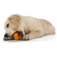 West Paw Tux - Jutalomfalattal tölthető játék #12