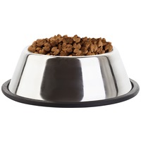 Eukanuba Adult Large 18 kg #10