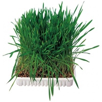 Trixie fű rágcsálóknak, nyulaknak #2