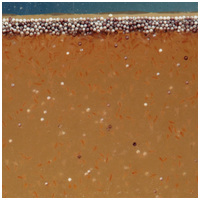 JBL ArtemioPur – Artémia (sórák pete) #4