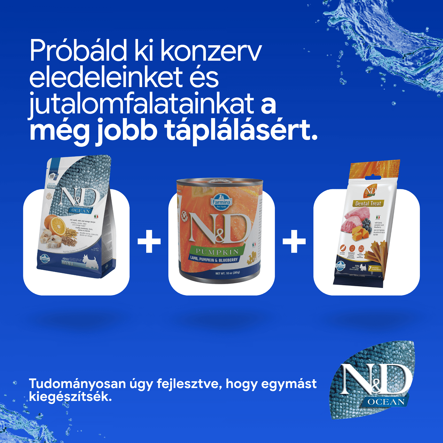 N&D Dog Ocean Adult Mini Codfish & Orange | Tőkehalas és narancsos kutyaeledel | Kistestű felnőtt kutyáknak