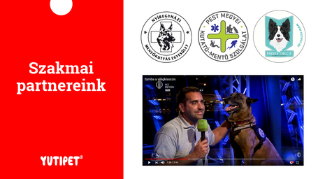 Yutipet RnD párnázott biztonsági kutyahám (Kék)