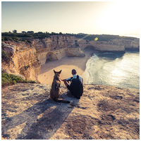 Julius-K9 IDC neonzöld/sárga powerhám kutyáknak #3