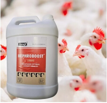 Nephroboost vesevédő gyógynövényes itatófolyadék baromfiknak