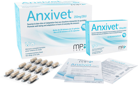 MP Labo Anxivet - Stresszből és félelemből eredő reakciók enyhítésére kutyáknak és macskáknak