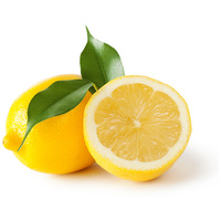 Biogance Terrier Secret shampoo | Drótszőrű kutyák fürdetéséhez | Lime és zsálya kivonattal #6