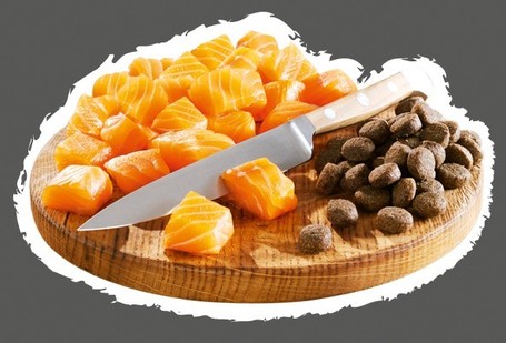 Belcando Finest Grain-Free Salmon