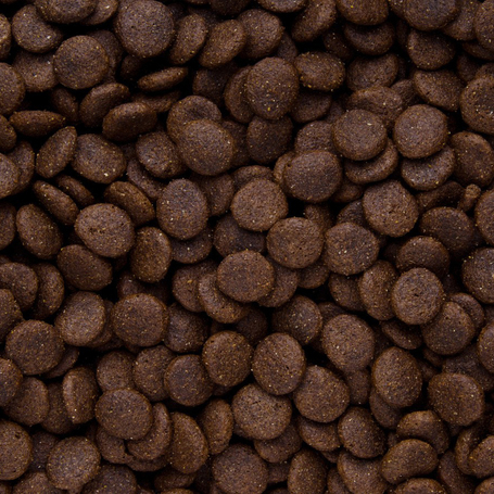 Sam's Field Gluten Free Adult Large Goose & Turkey