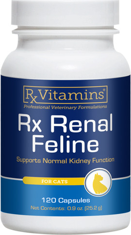 RX Vitamins Renal Feline tablete