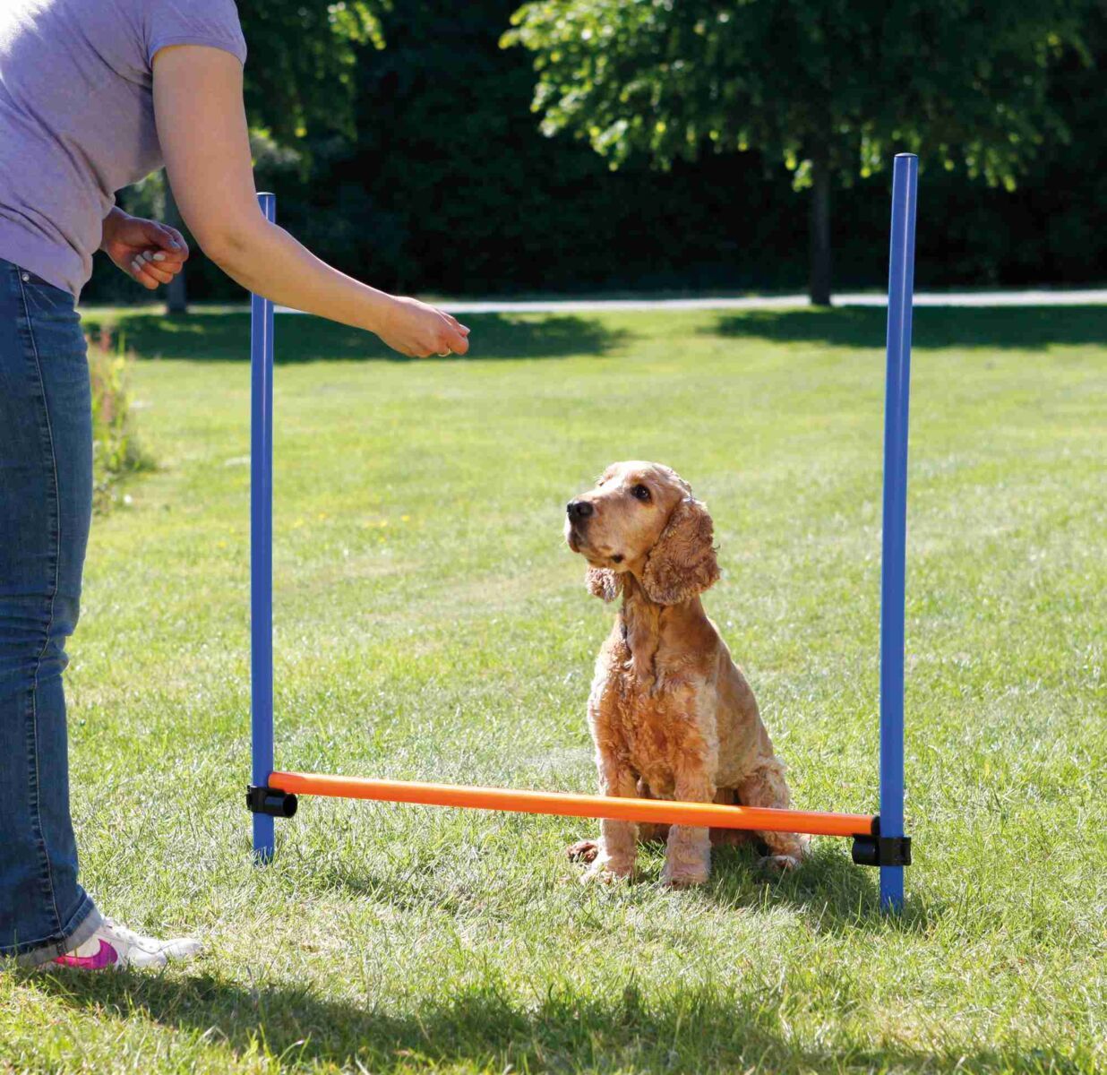 Trixie Dog Activity obstacole pentru agilitate - zoom