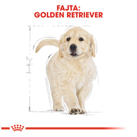 Royal Canin Golden Retriever Puppy - Golden Retriever kölyök kutya száraz táp #2