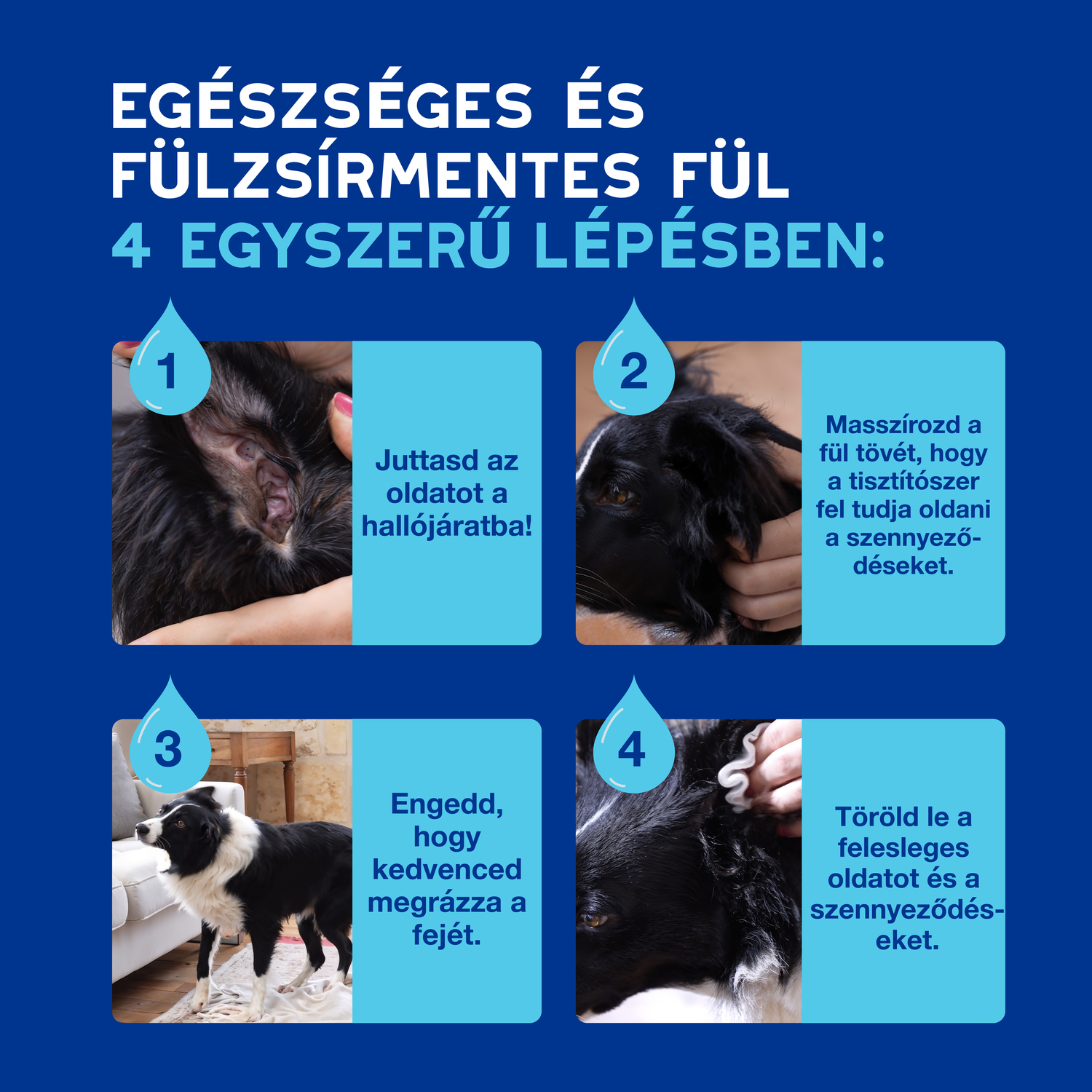 Douxo Spa soluție pentru curățarea urechilor câini și pisici - zoom