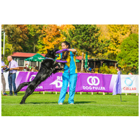 Puller fitnessz/ügyességfejlesztő karikák kutyáknak #10