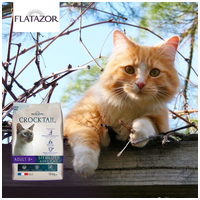 Pro-Nutrition Prestige Adult 8+ Sterilised | Száraztáp ivartalanított idős macskák részére #3