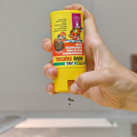 JBL ProNovo Fantail Grano