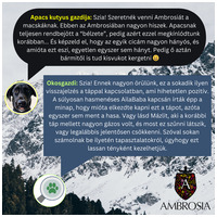 Ambrosia Dog Grain Free Senior, Light & Sterilized #22