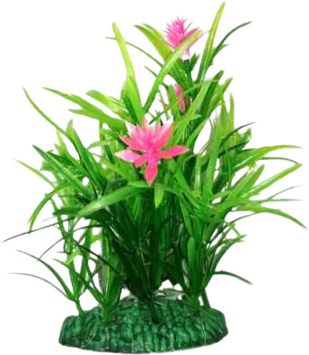 Plantă de acvariu cu flori roz în formă de alge marine