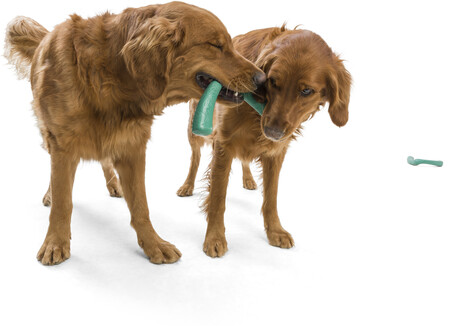 West Paw Seaflex Snorkl - Bumeráng és kötélhúzó játék