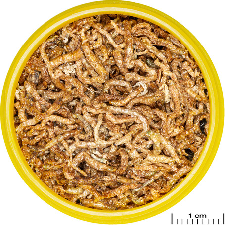 JBL ProNovo Fil liofilizált vörös szúnyog lárva