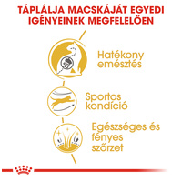 Royal Canin Bengal Adult - Bengáli felnőtt macska száraz táp #4