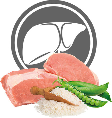 Exclusion Dog Hepatic Pork & Rice and Pea konzerv