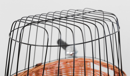 Trixie rácsos fonott szállítókosár biciklire