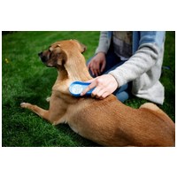 MagicBrush kutyakefék #3