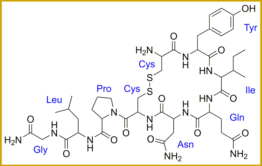 Oxitocin