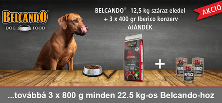 Belcando száraztápokhoz most 3 db Iberico konzerv ajándékba - Kivételes ajánlat!