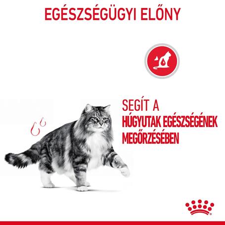 Royal Canin Urinary Care - Száraz táp felnőtt macskák részére az alsó hugyúti problémák megelőzéséért