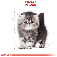 Royal Canin Persian Kitten - Perzsa kölyök macska száraz táp #2