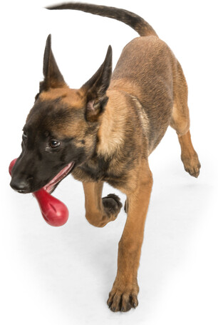 West Paw Hurley - Tartós rágóbot