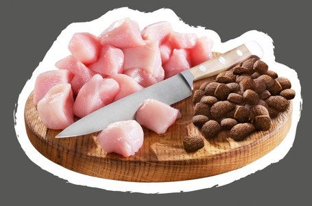 Belcando Junior Maxi | Prémium német táp nagytestű növendék kutyáknak