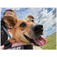 Hajni nem szívbajos csaj és tuti nincs tériszonya :)