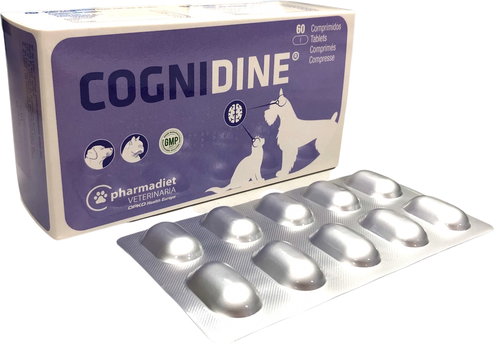 Cognidine tablete pentru câini și pisici pentru susținerea sistemului nervos