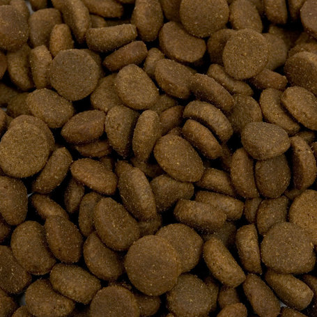 Acana Grasslands Dog gabonamentes kutyatáp