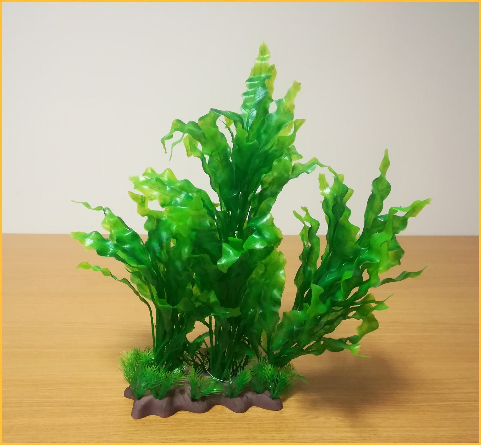 Plantă pentru acvariu cu bază, cu frunze lungi ondulate - zoom