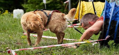 Síarénából kutyaparadicsom lett Eplény - Hard Dog Race beszámoló