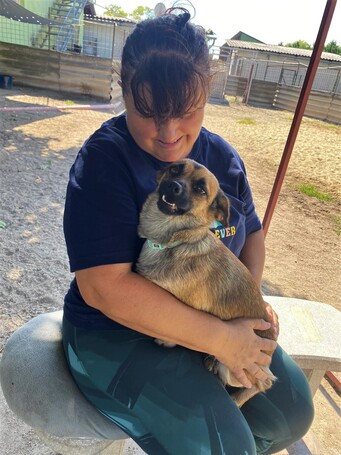 Manó, egy éves, szuka